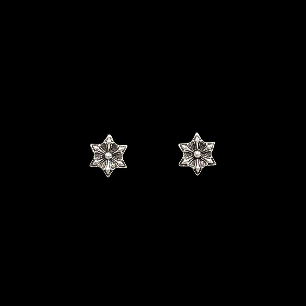 Titanium Silver Plated Star Flower Stud Earrings